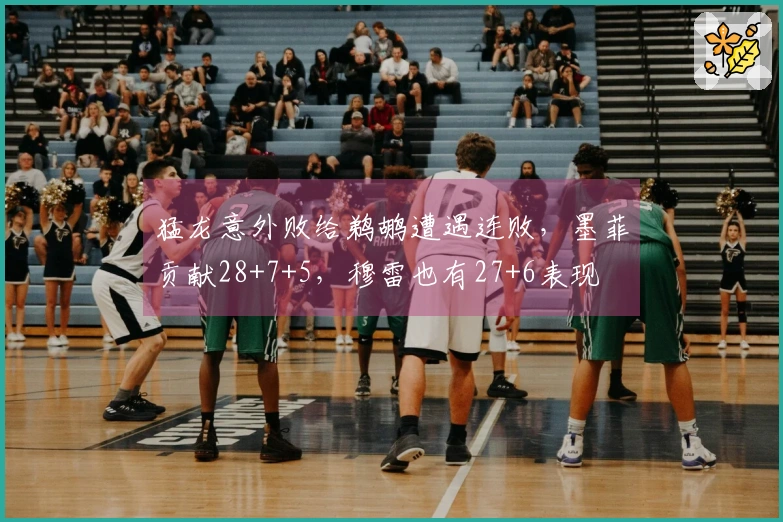 猛龙意外败给鹈鹕遭遇连败，墨菲贡献28+7+5，穆雷也有27+6表现